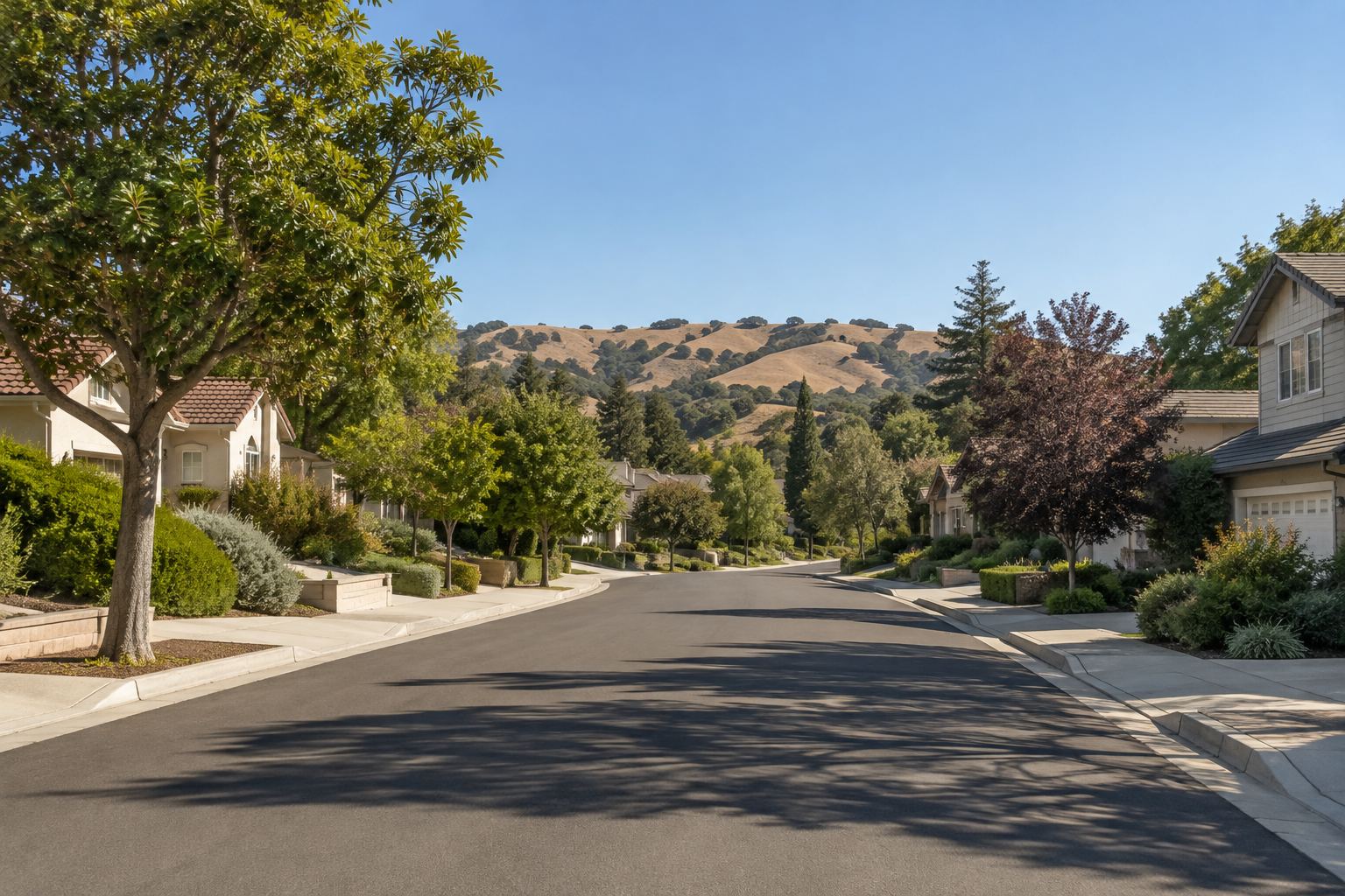 Fremont